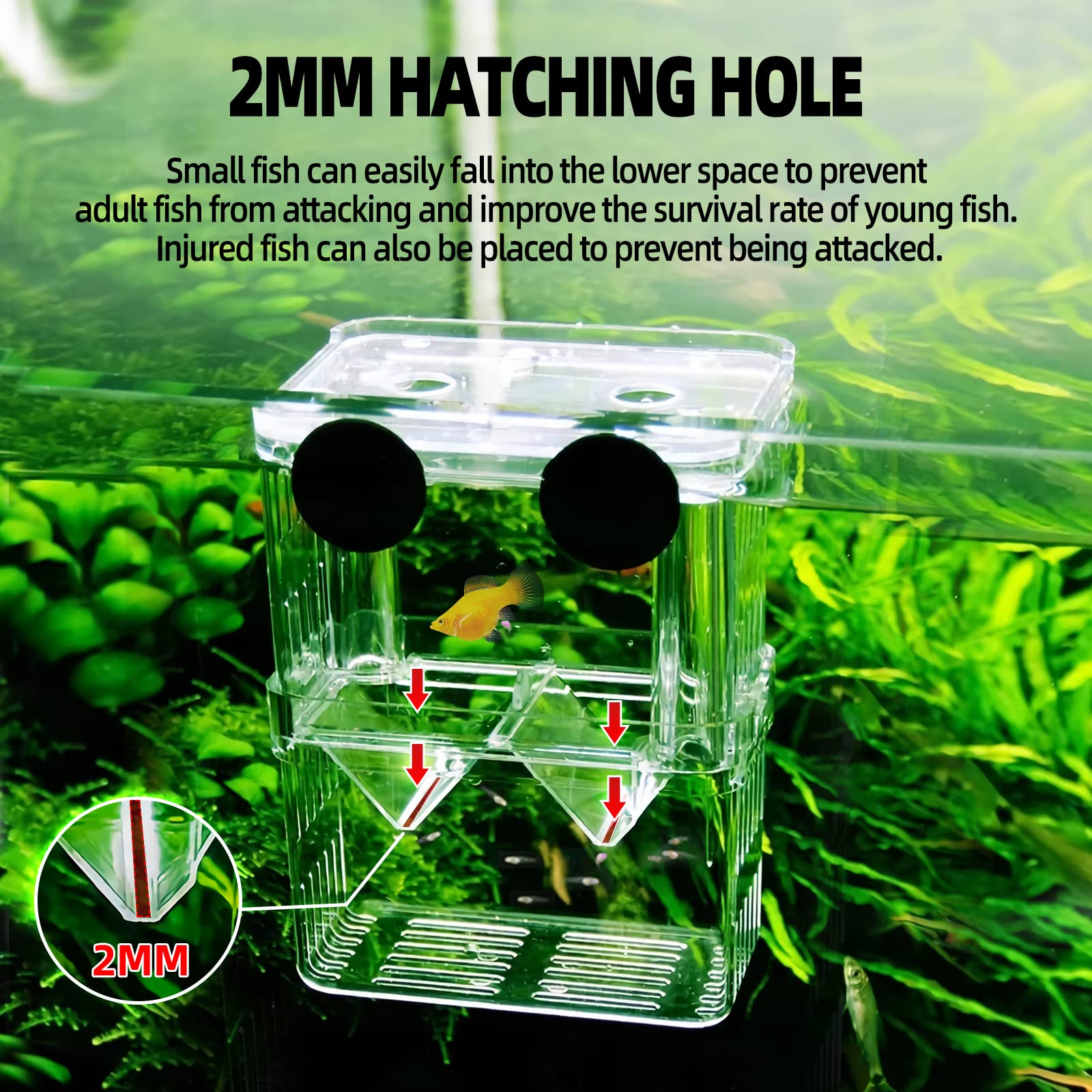 Boxtech Aquarium Fish Tank Hatchery Incubator Breeding Box, Acrylic White Breeder Isolation Divider Hatching Boxes Accessory Sma
